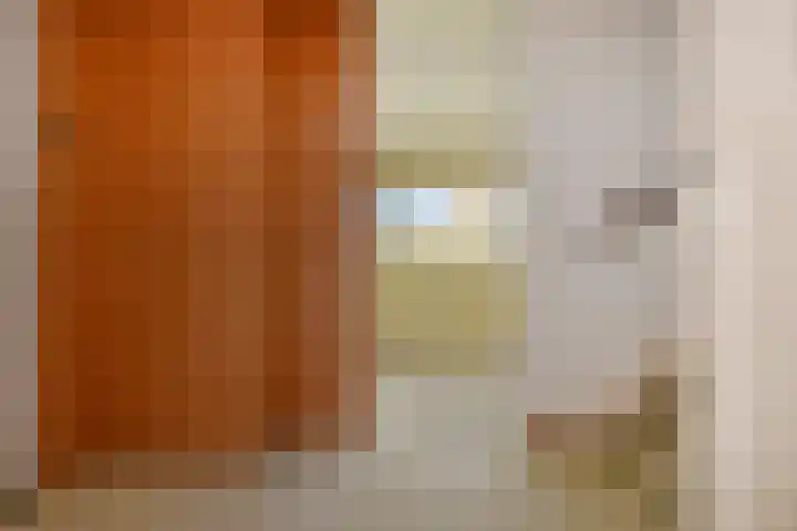 't Hert 116 Leidschendam thumbnail 24