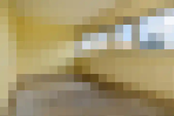 't Hert 116 Leidschendam thumbnail 27