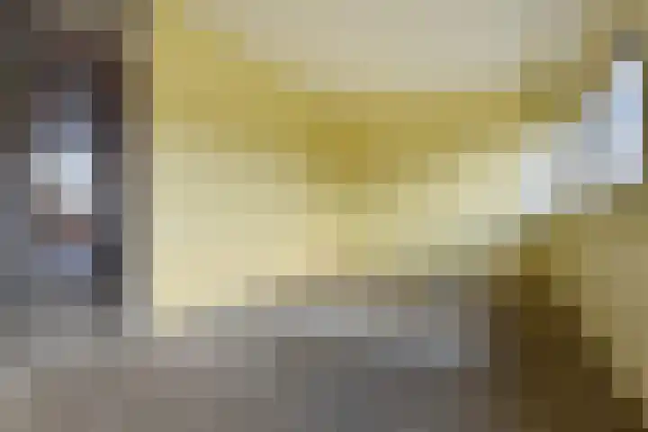 't Hert 116 Leidschendam thumbnail 28