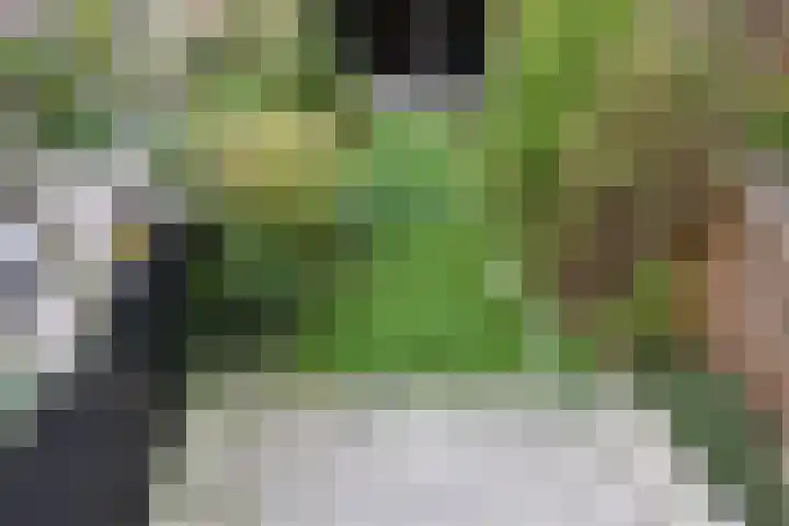 't Hert 116 Leidschendam thumbnail 33