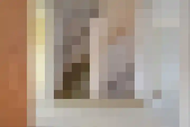 't Hert 116 Leidschendam thumbnail 36