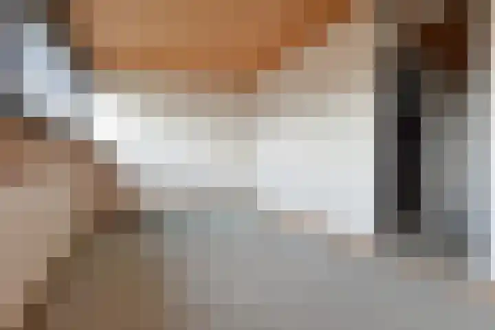 't Hert 116 Leidschendam thumbnail 37