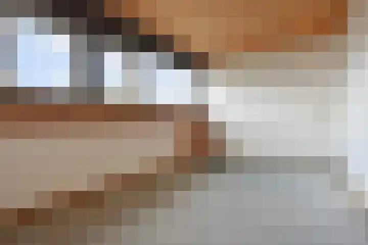 't Hert 116 Leidschendam thumbnail 38