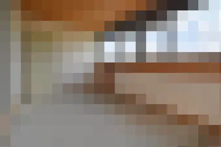 't Hert 116 Leidschendam thumbnail 39