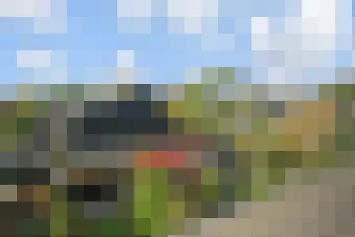 't Hert 116 Leidschendam thumbnail 42