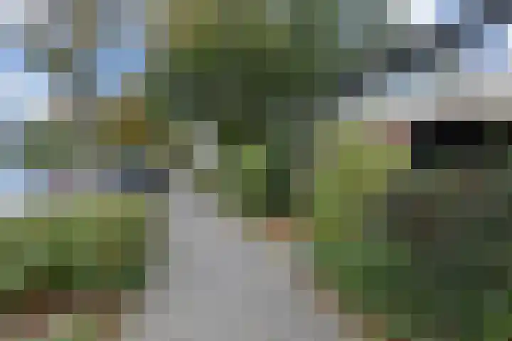 't Hert 116 Leidschendam thumbnail 43