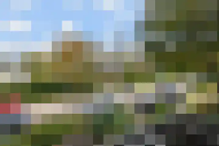 't Hert 116 Leidschendam thumbnail 44