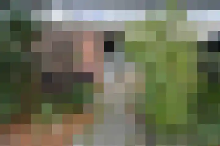 't Hert 116 Leidschendam thumbnail 7