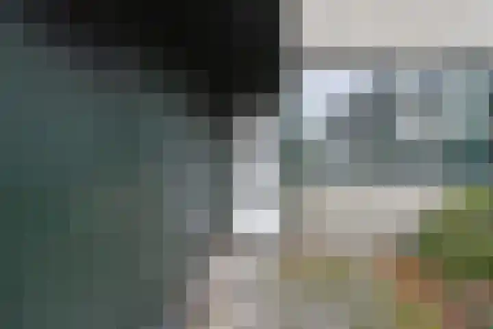 't Hert 116 Leidschendam thumbnail 8