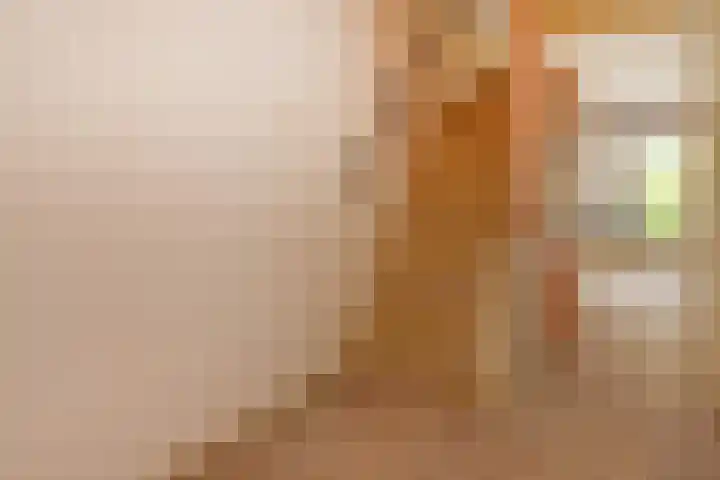 't Hert 116 Leidschendam thumbnail 9