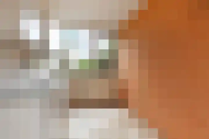 't Hert 164 Leidschendam thumbnail 13