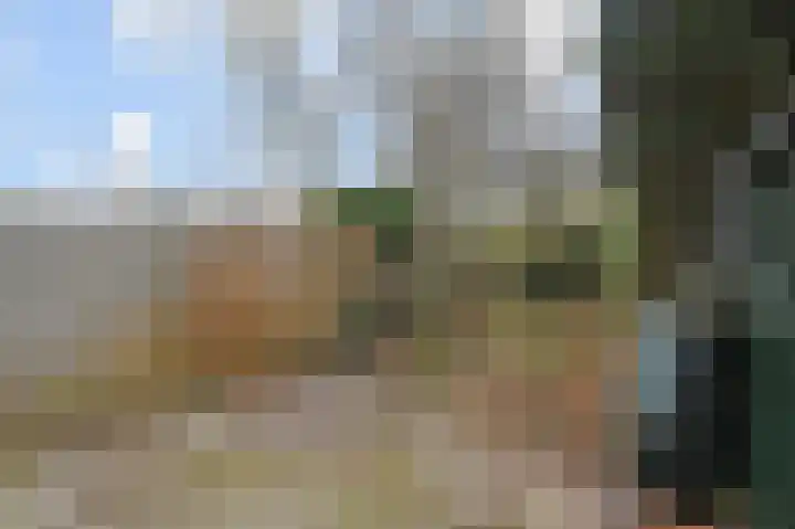 't Hert 164 Leidschendam thumbnail 15