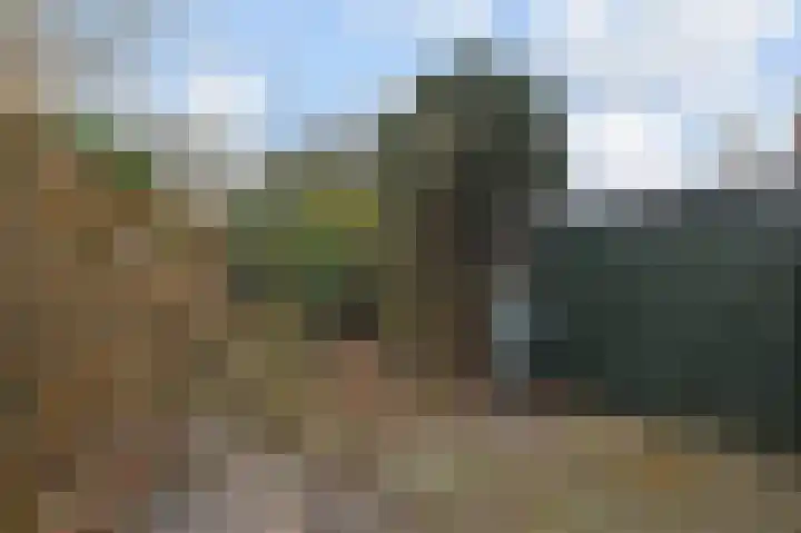 't Hert 164 Leidschendam thumbnail 16