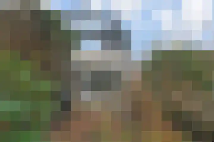 't Hert 164 Leidschendam thumbnail 17