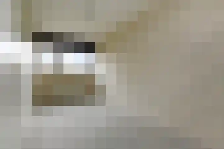 't Hert 164 Leidschendam thumbnail 18