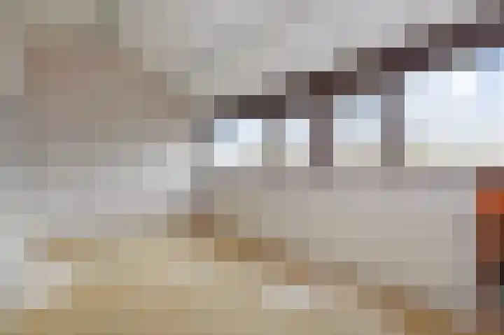 't Hert 164 Leidschendam thumbnail 28