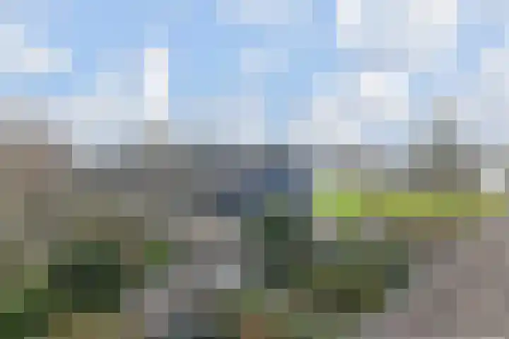't Hert 164 Leidschendam thumbnail 31