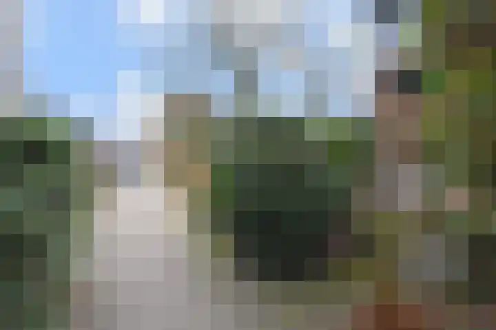 't Hert 164 Leidschendam thumbnail 33