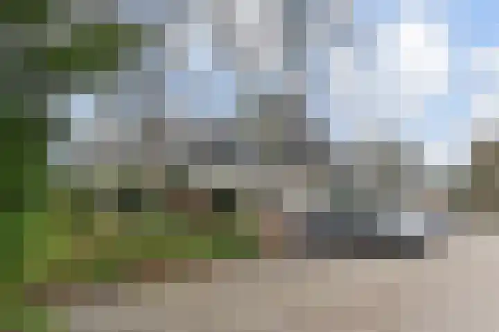 't Hert 164 Leidschendam thumbnail 35