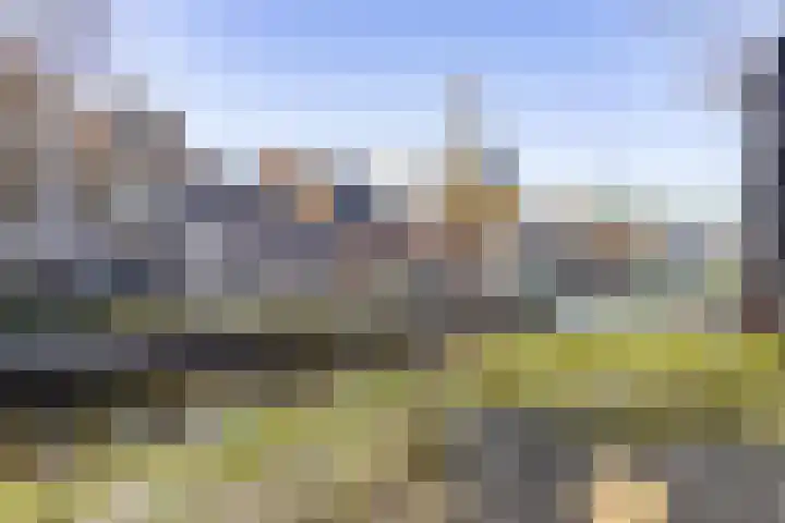 't Hert 164 Leidschendam thumbnail 36