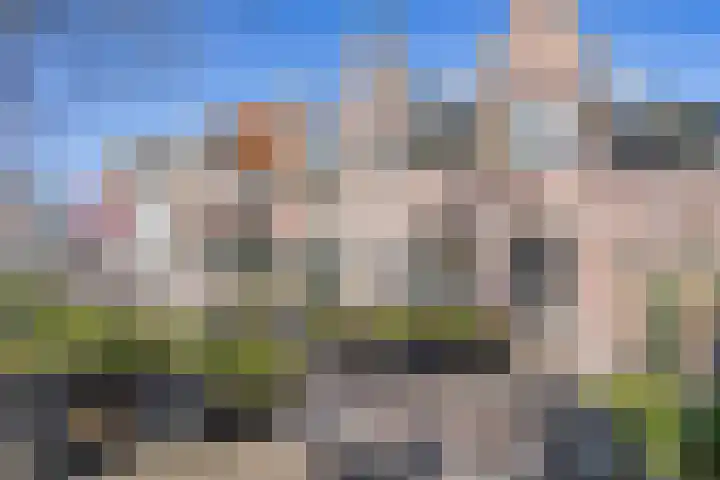 't Hert 164 Leidschendam thumbnail 37