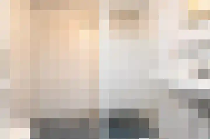 't Hert 164 Leidschendam thumbnail 4