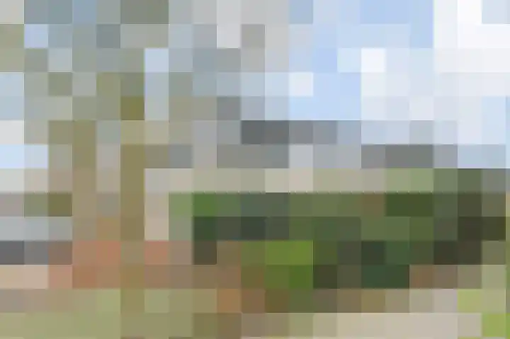't Hert 164 Leidschendam thumbnail 6