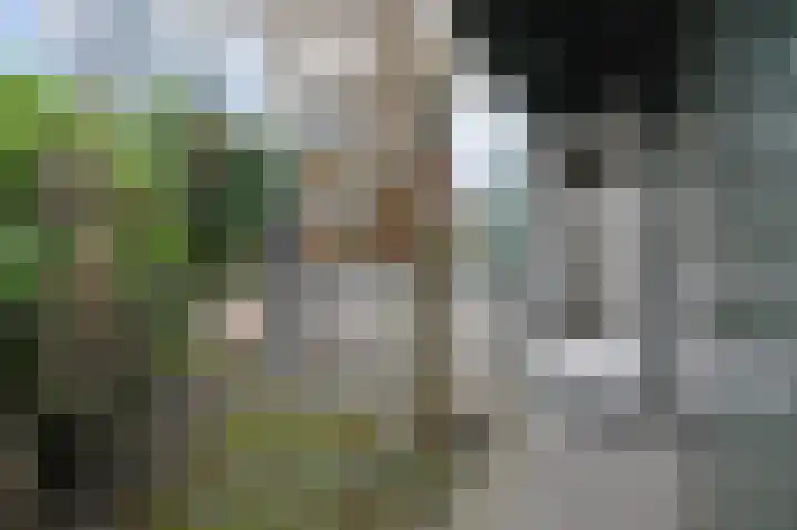 't Hert 164 Leidschendam thumbnail 7