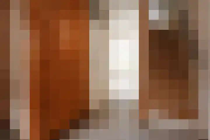 't Hert 164 Leidschendam thumbnail 8