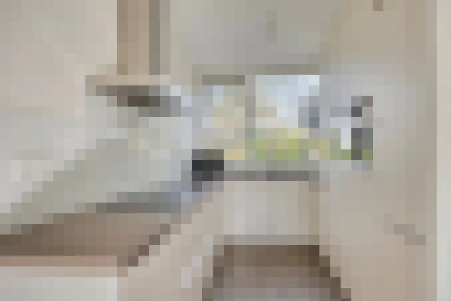 't Hert 174 Leidschendam thumbnail 12
