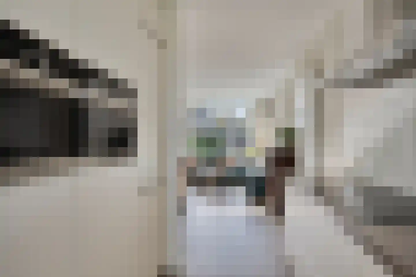 't Hert 174 Leidschendam thumbnail 16