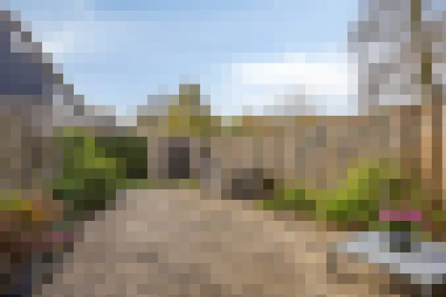 't Hert 174 Leidschendam thumbnail 20