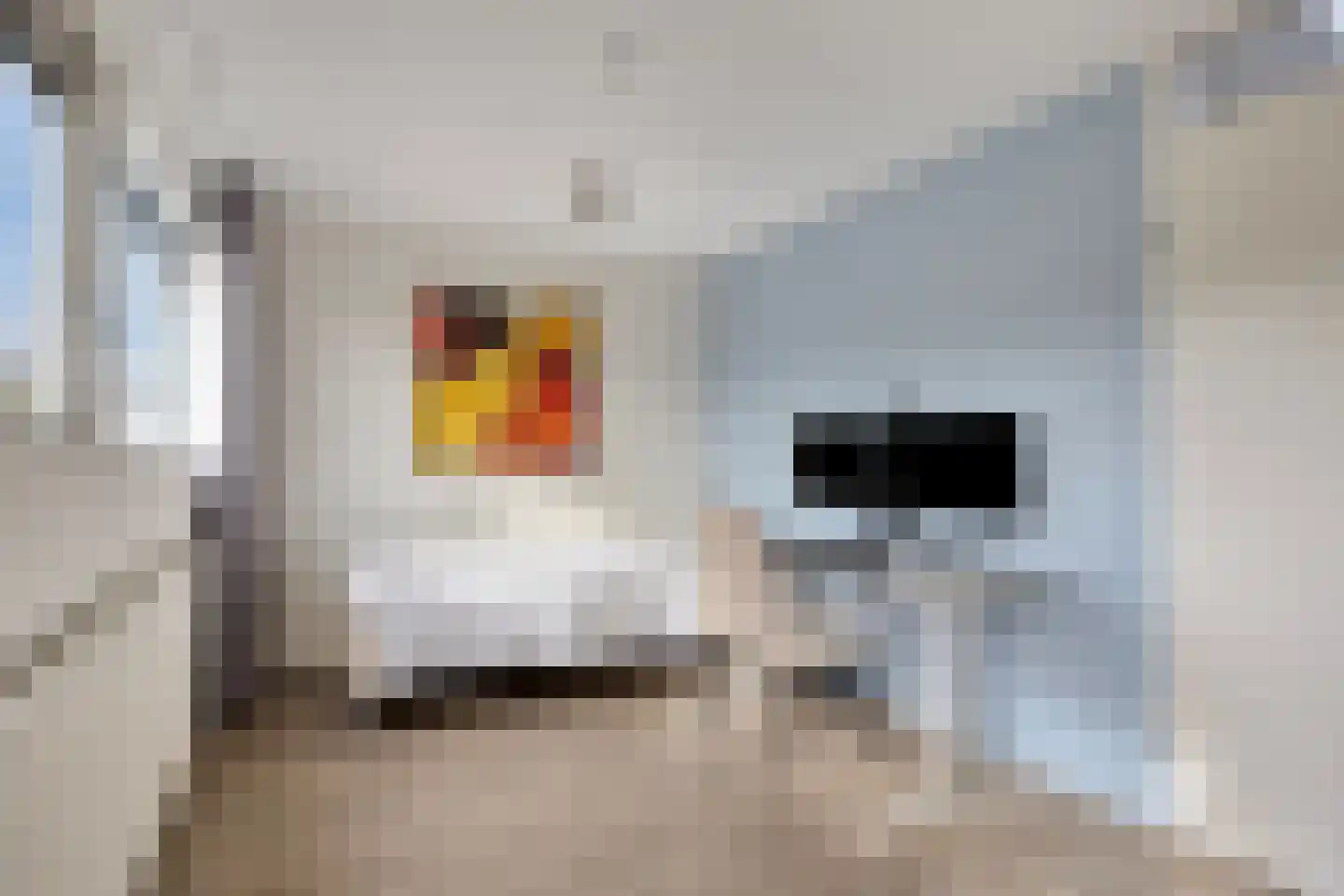't Hert 174 Leidschendam thumbnail 36