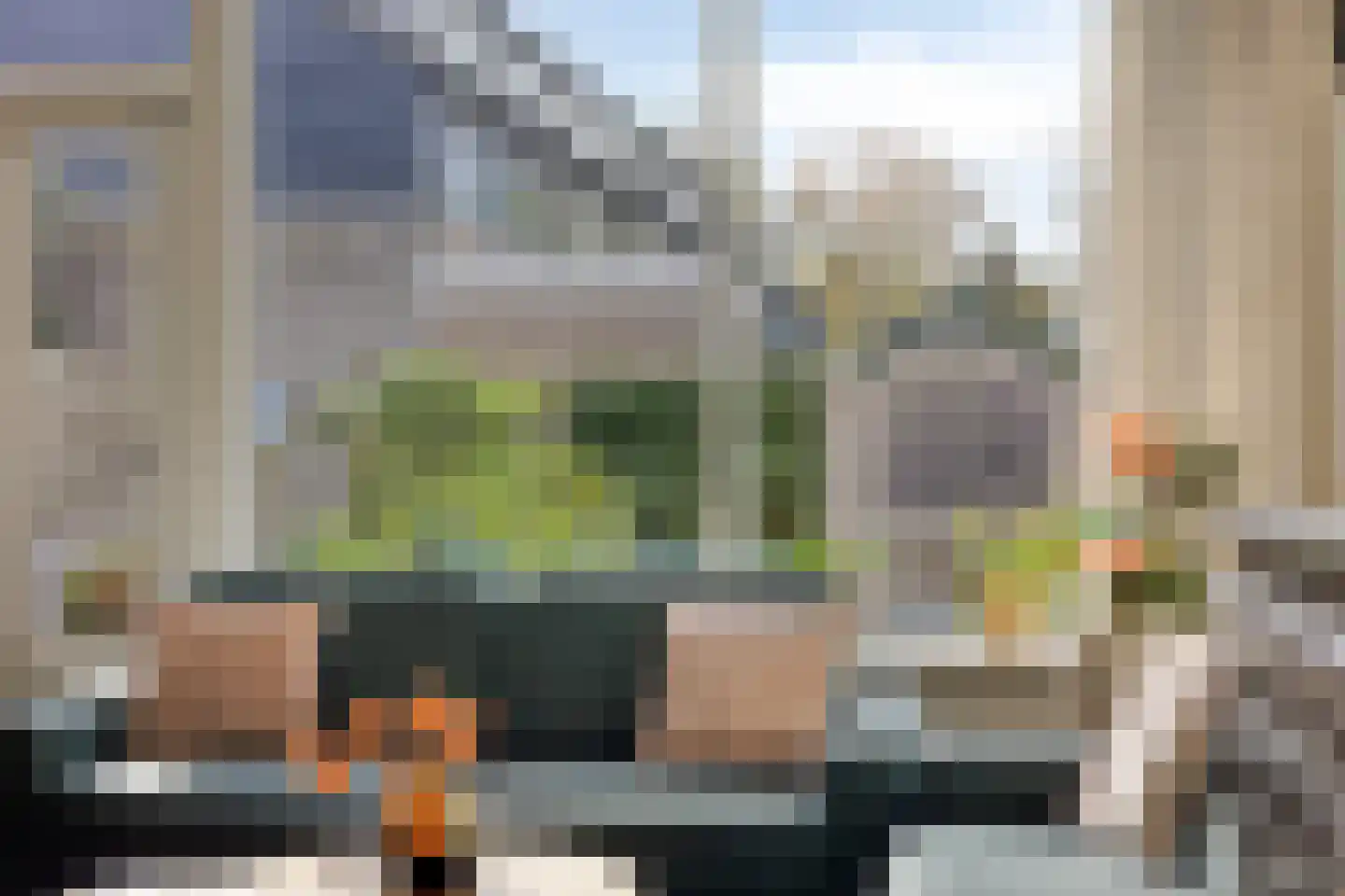 't Hert 174 Leidschendam thumbnail 8