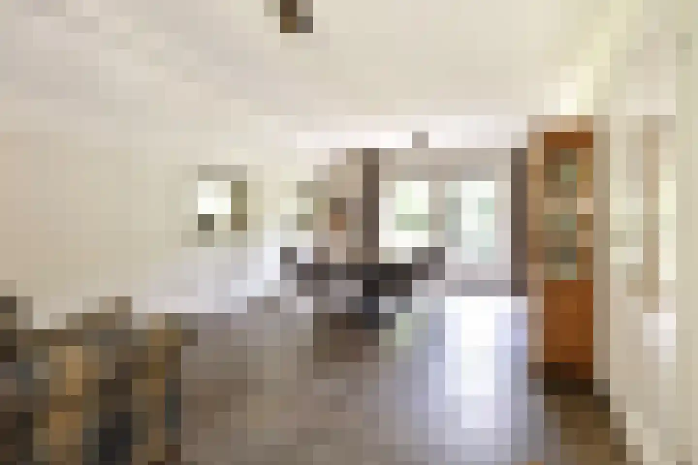 't Hertenspoor 103 Diever thumbnail 10