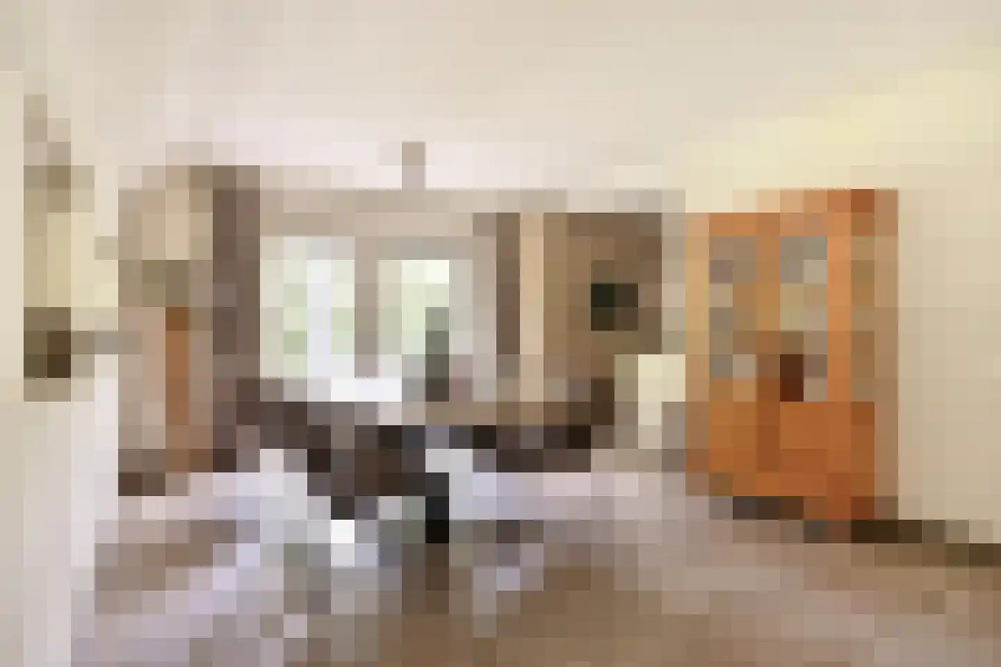 't Hertenspoor 103 Diever thumbnail 11