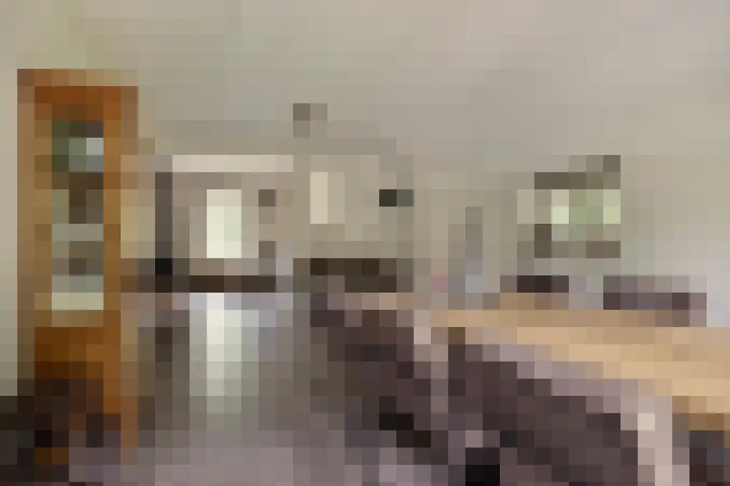 't Hertenspoor 103 Diever thumbnail 12