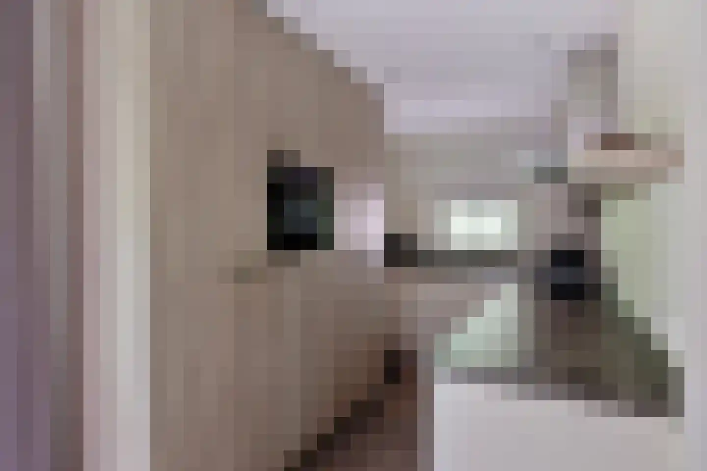 't Hertenspoor 103 Diever thumbnail 13