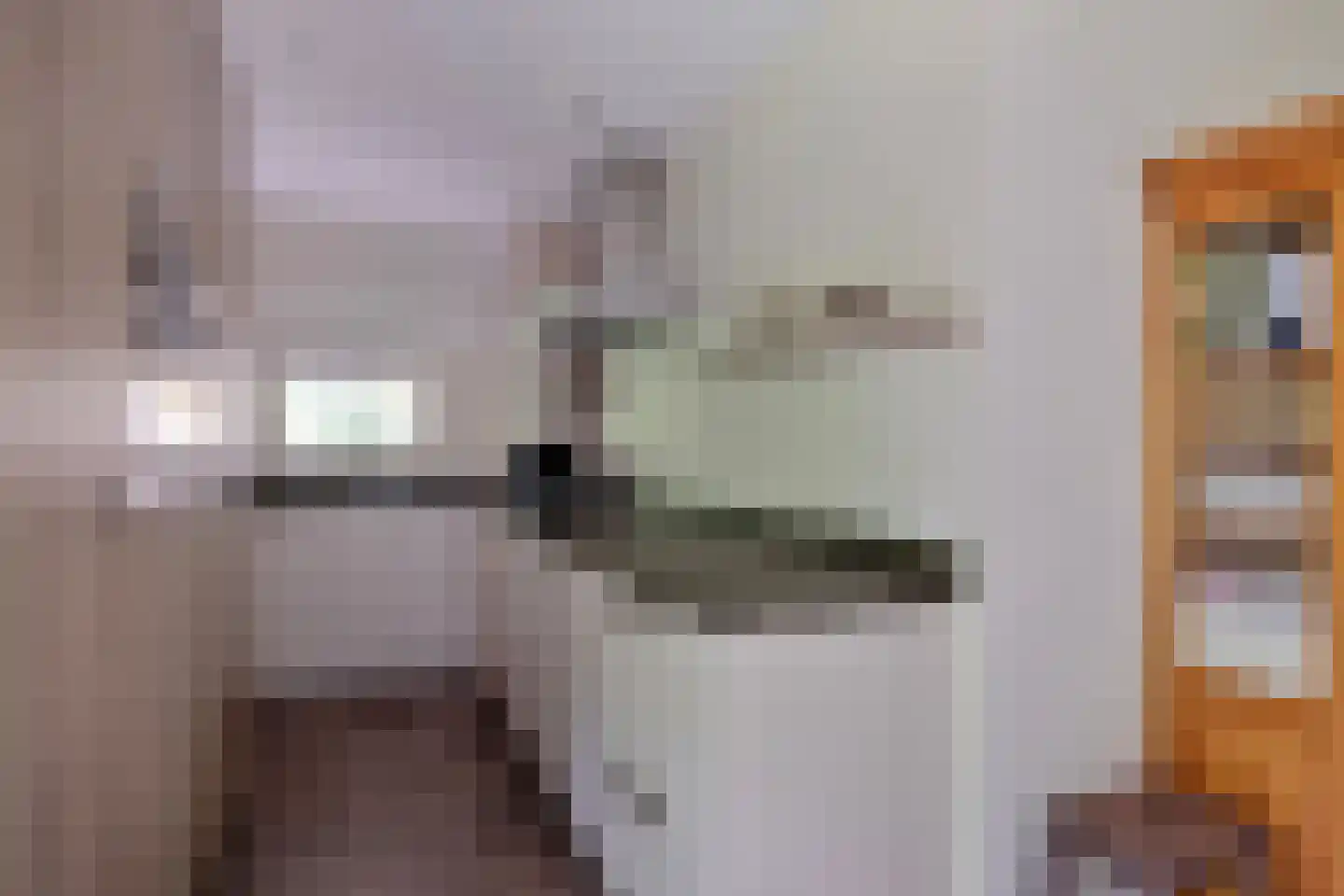 't Hertenspoor 103 Diever thumbnail 14
