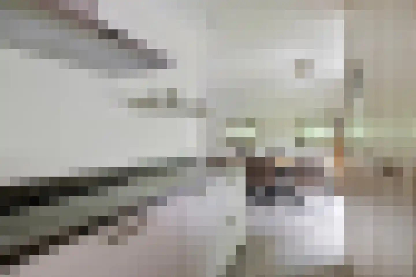 't Hertenspoor 103 Diever thumbnail 16