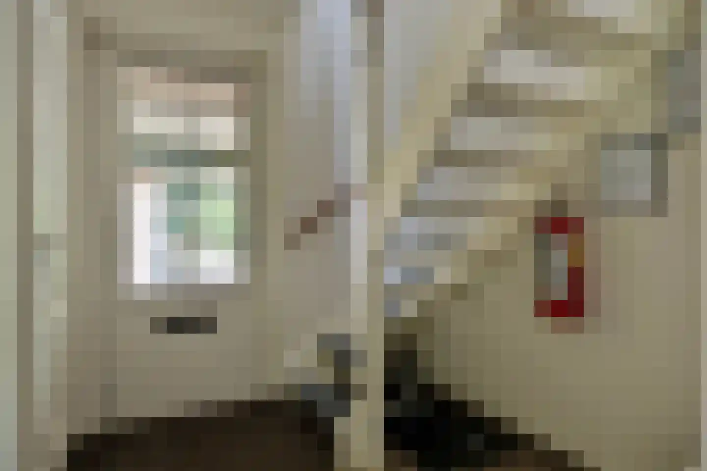 't Hertenspoor 103 Diever thumbnail 17