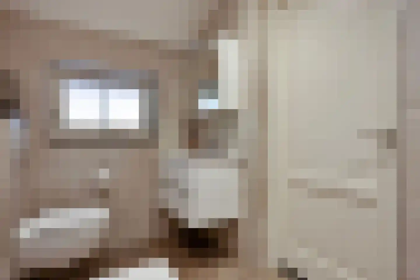 't Hertenspoor 103 Diever thumbnail 21