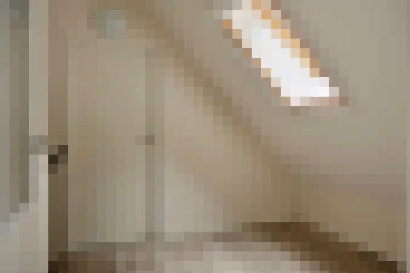 't Hertenspoor 103 Diever thumbnail 23