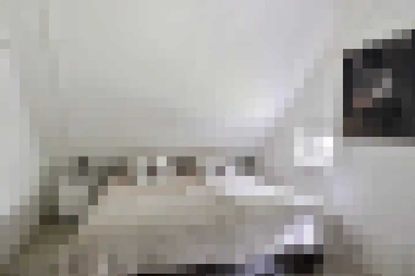 't Hertenspoor 103 Diever thumbnail 24