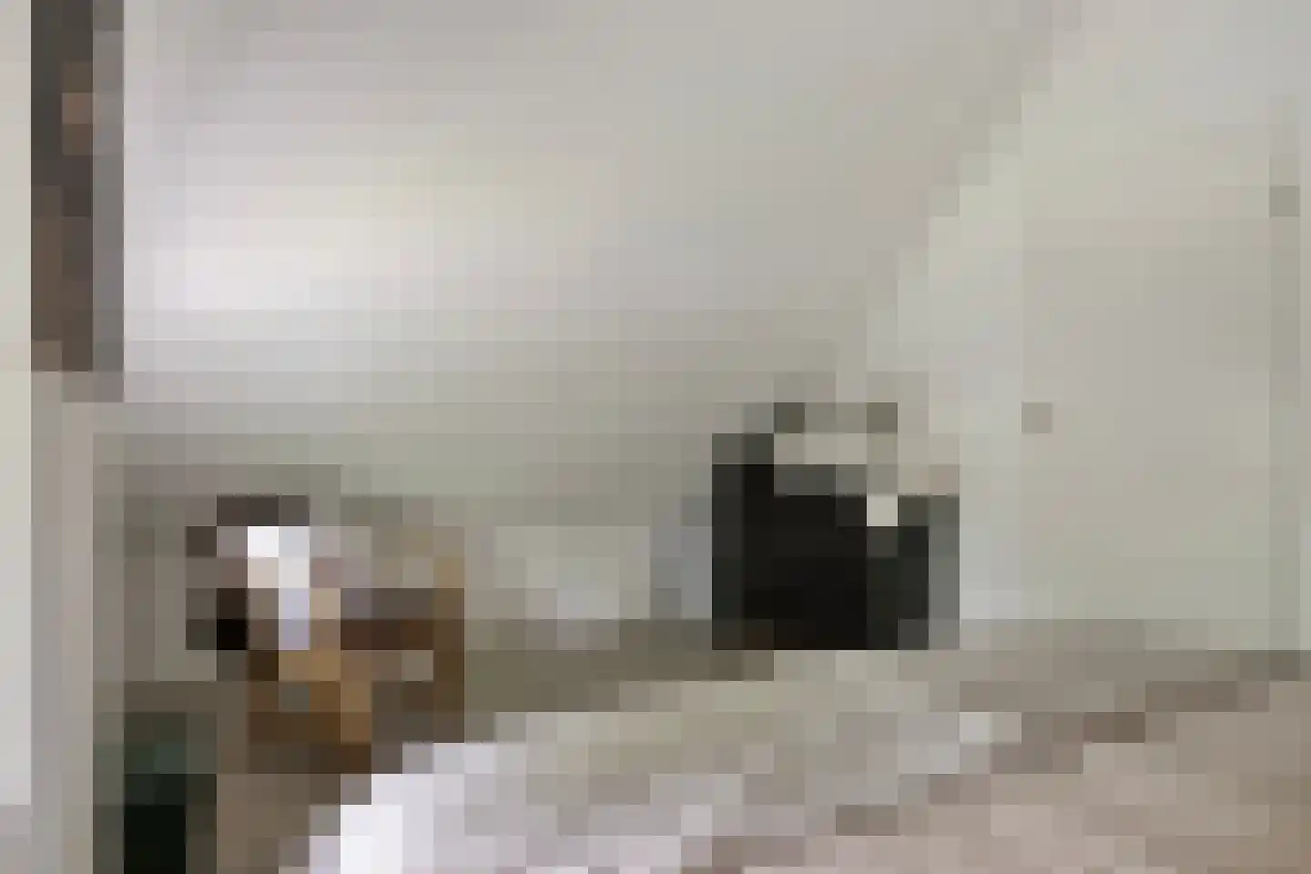't Hertenspoor 103 Diever thumbnail 25