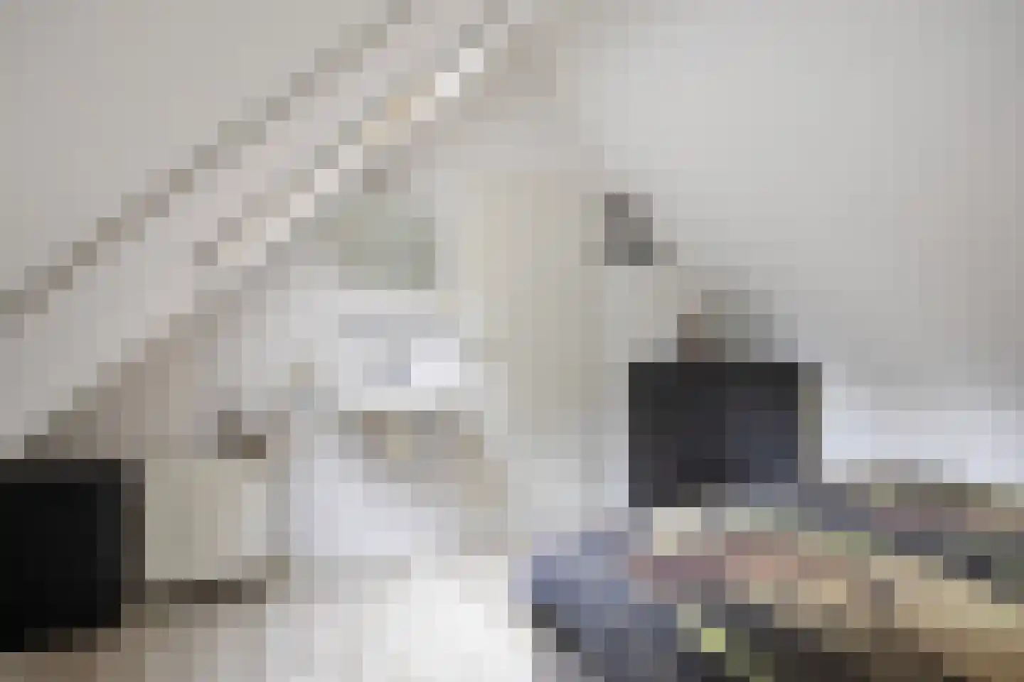 't Hertenspoor 103 Diever thumbnail 27