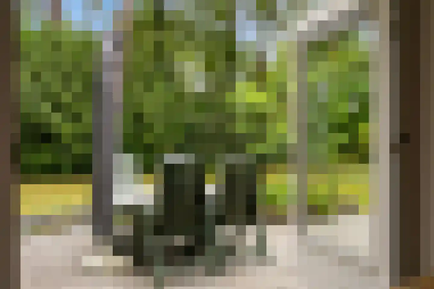 't Hertenspoor 103 Diever thumbnail 29