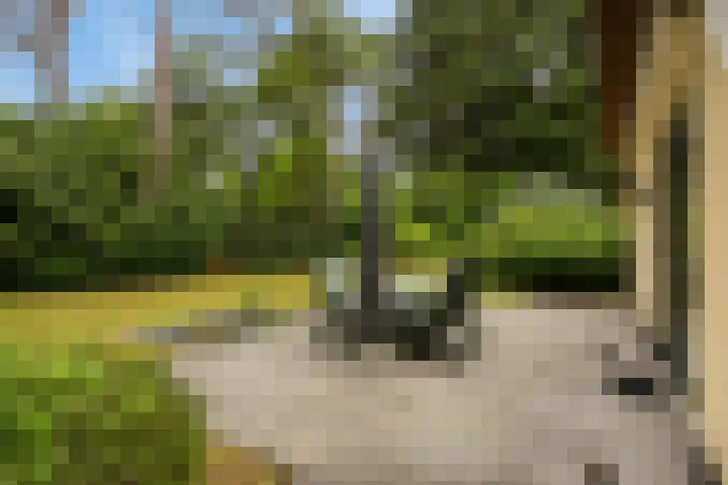 't Hertenspoor 103 Diever thumbnail 30