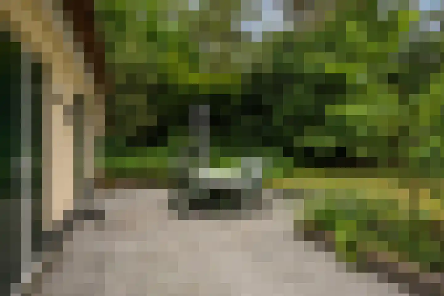 't Hertenspoor 103 Diever thumbnail 31