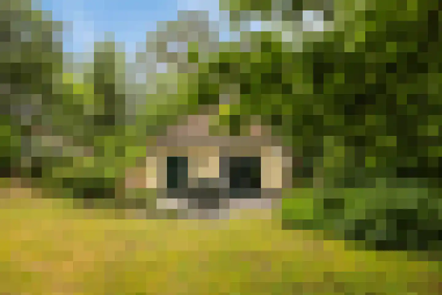 't Hertenspoor 103 Diever thumbnail 33